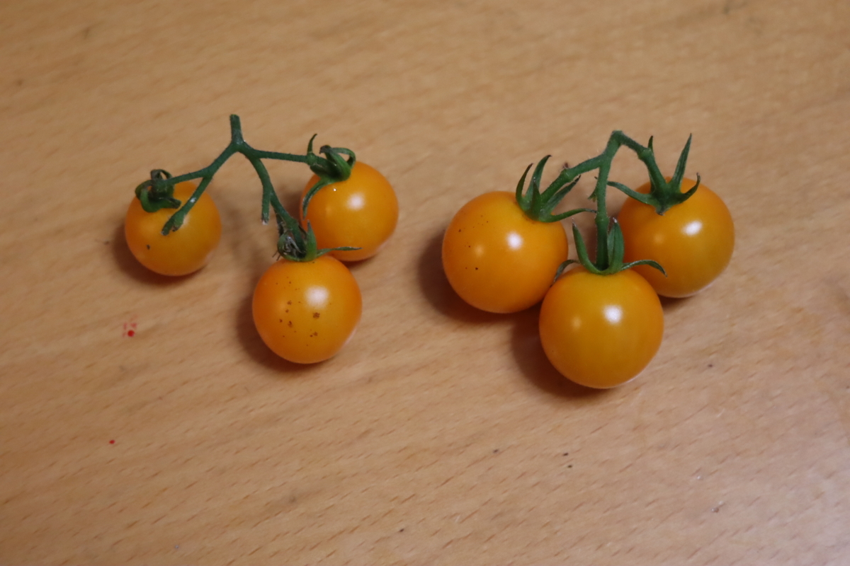 f:id:tomato_1:20200627223307j:plain