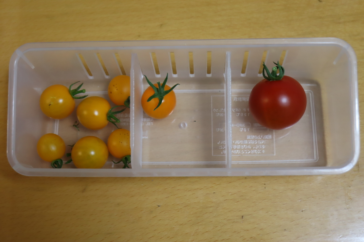 f:id:tomato_1:20200627223458j:plain