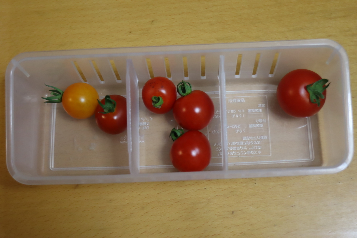 f:id:tomato_1:20200630140712j:plain f:id:tomato_1:20200630140712j:plain