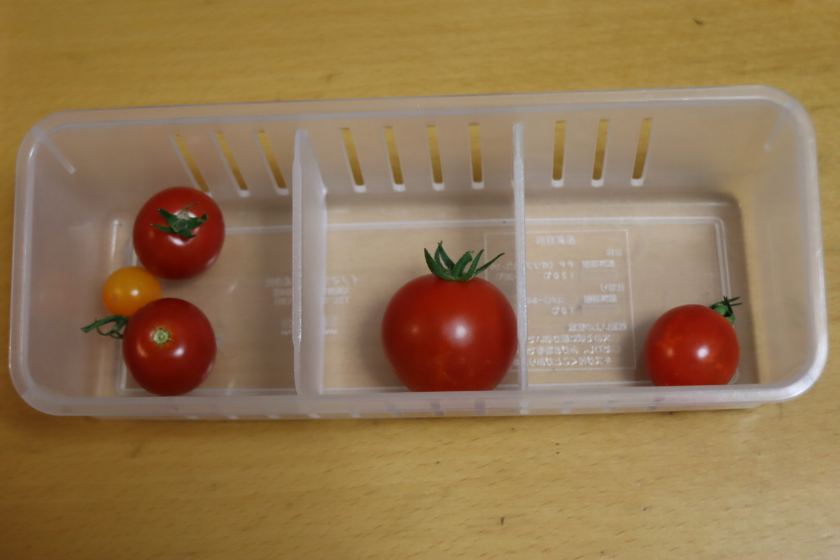 f:id:tomato_1:20200630141225j:plain f:id:tomato_1:20200630141225j:plain