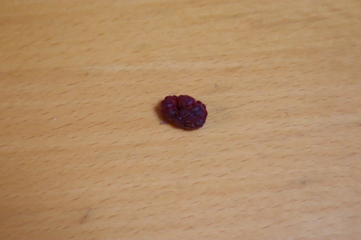 f:id:tomato_1:20200630141648j:plain f:id:tomato_1:20200630141648j:plain