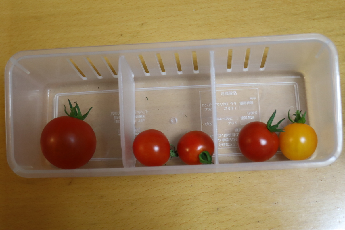 f:id:tomato_1:20200703003750j:plain