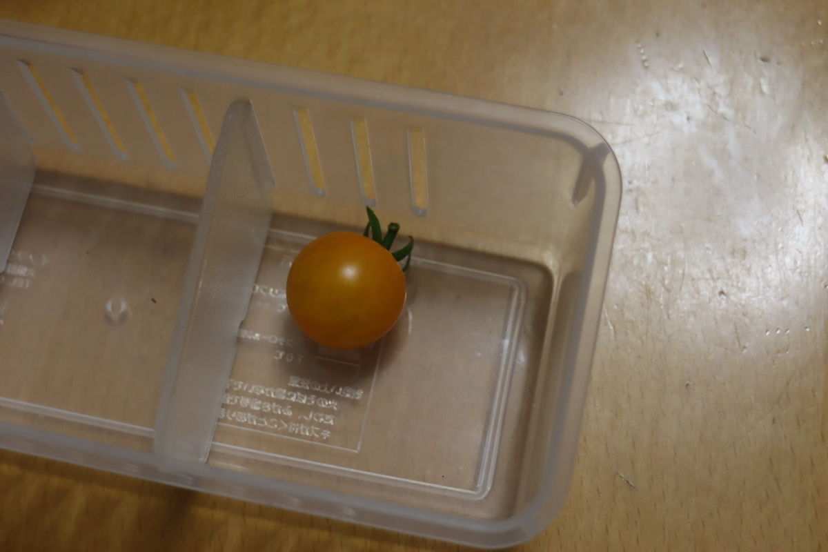 f:id:tomato_1:20200704125931j:plain