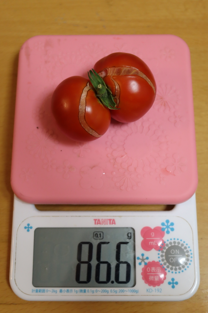 f:id:tomato_1:20200706005114j:plain
