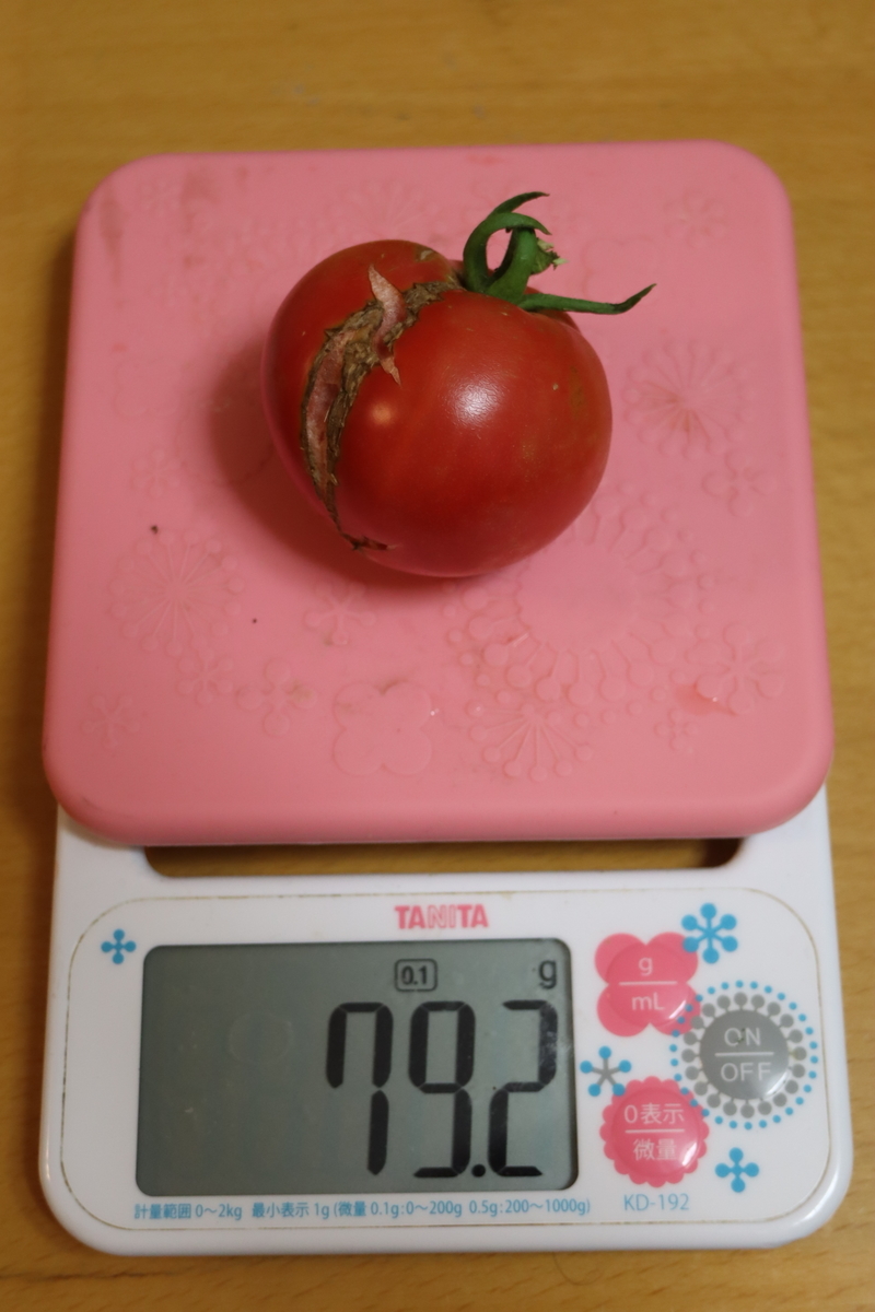 f:id:tomato_1:20200706012536j:plain