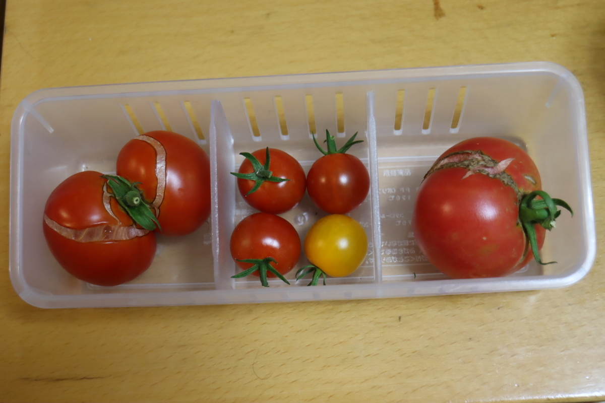 f:id:tomato_1:20200706013627j:plain