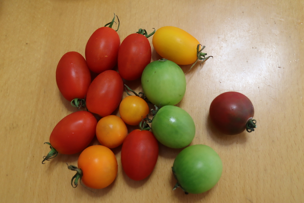 f:id:tomato_1:20200708165141j:plain