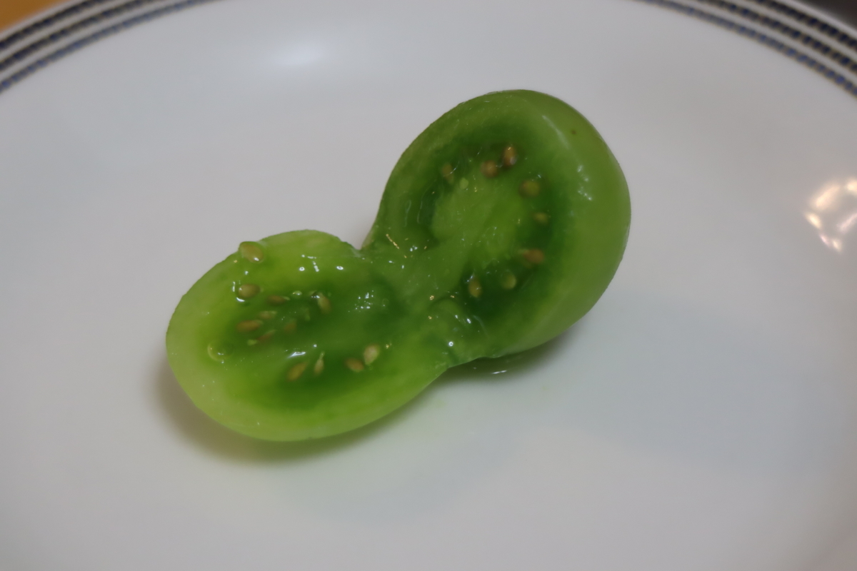 f:id:tomato_1:20200708194753j:plain