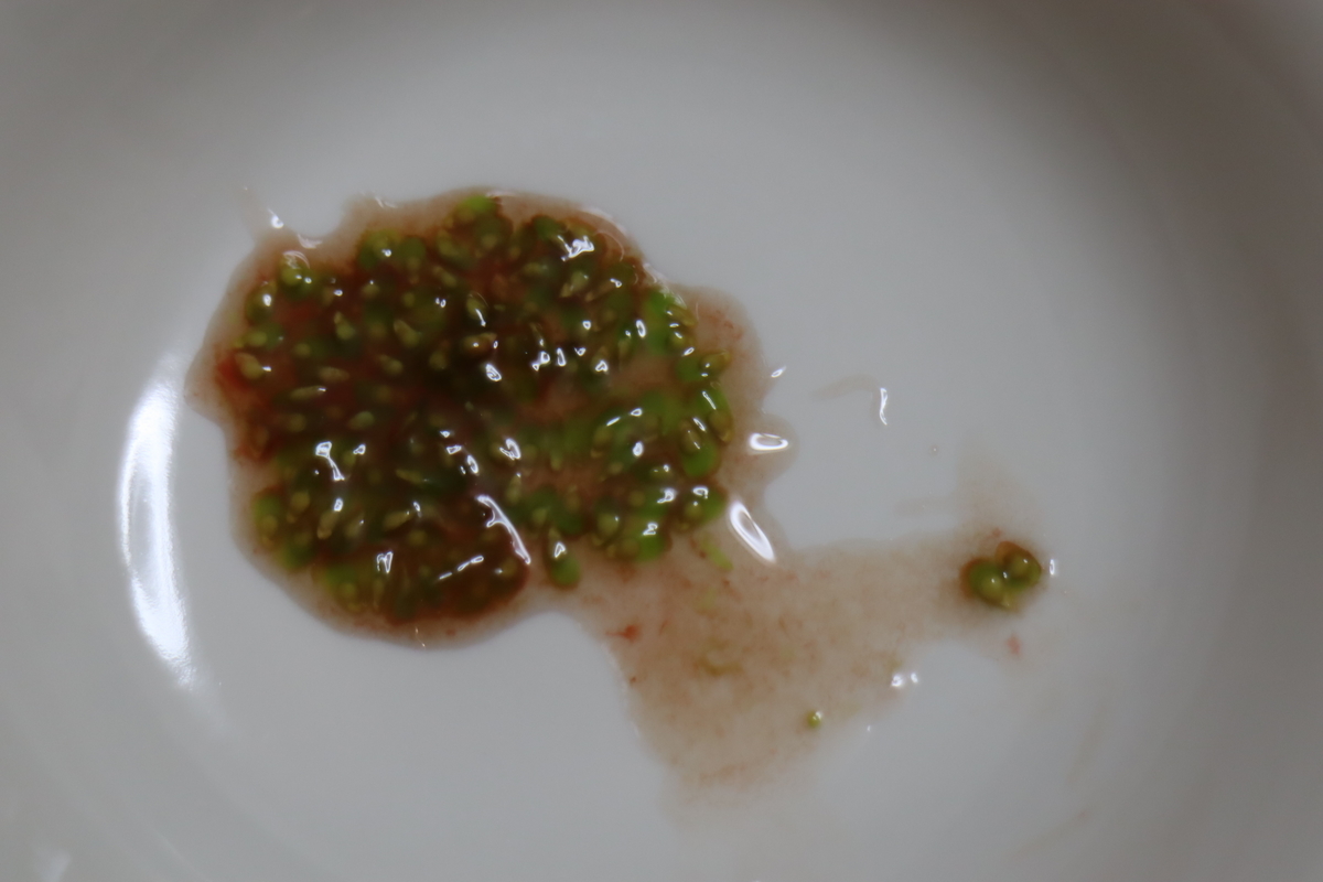 f:id:tomato_1:20200708202453j:plain