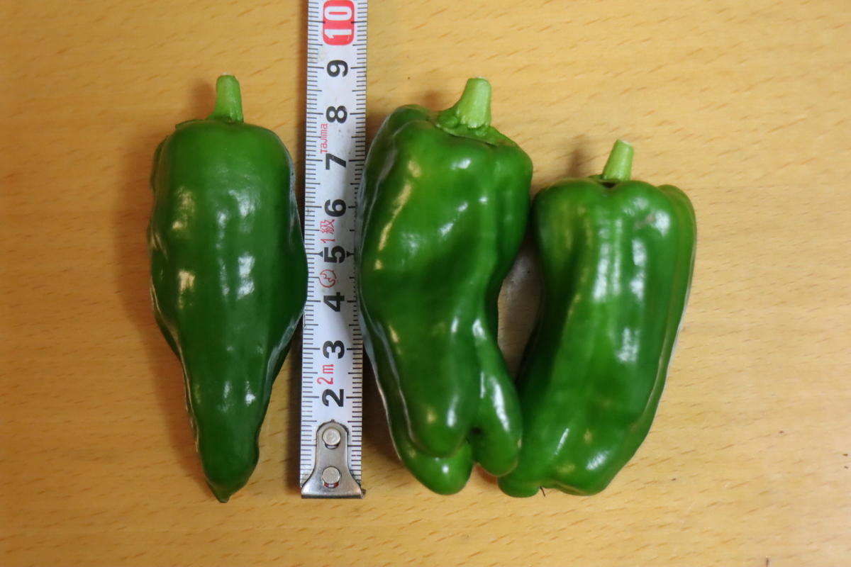 f:id:tomato_1:20200714000435j:plain f:id:tomato_1:20200714000435j:plain