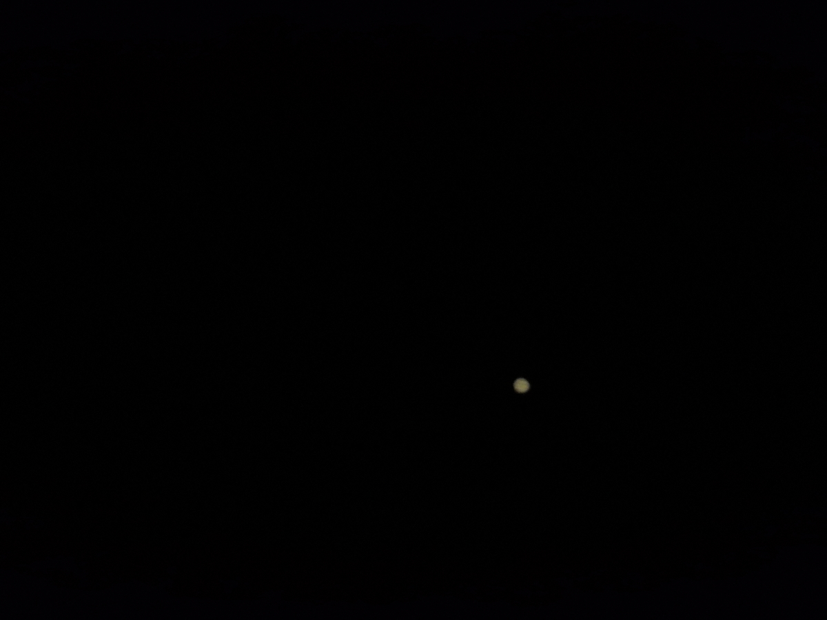 f:id:tomato_1:20200802160815j:plain