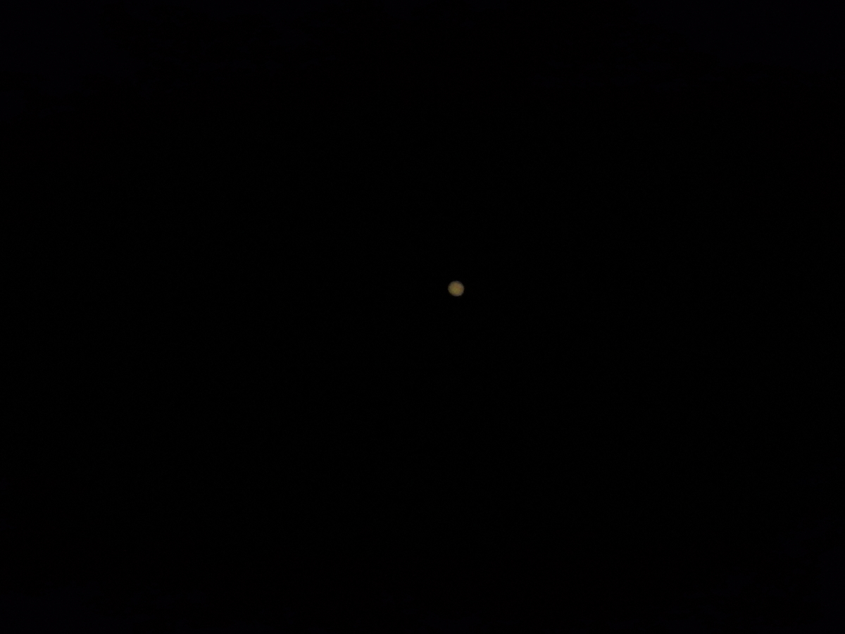 f:id:tomato_1:20200806012528j:plain