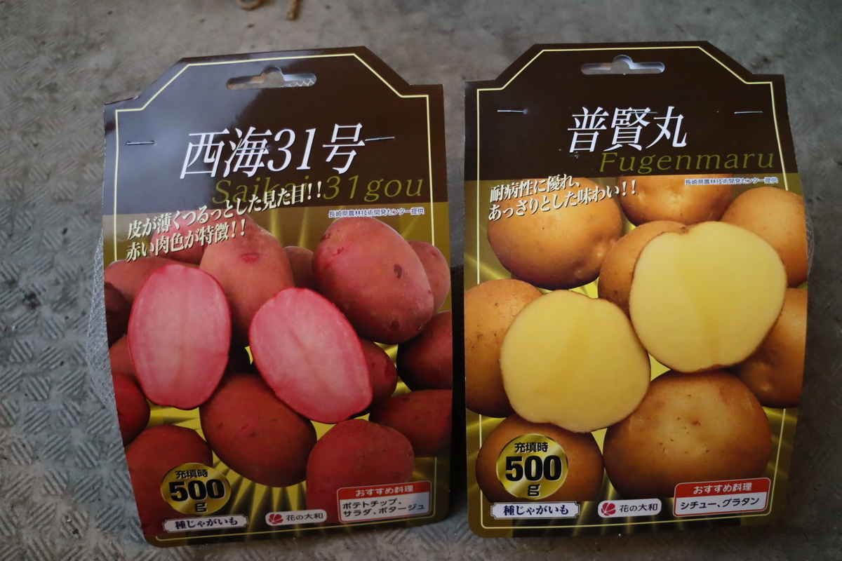 f:id:tomato_1:20200825012554j:plain