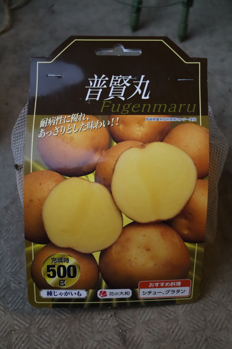 f:id:tomato_1:20200825013914j:plain