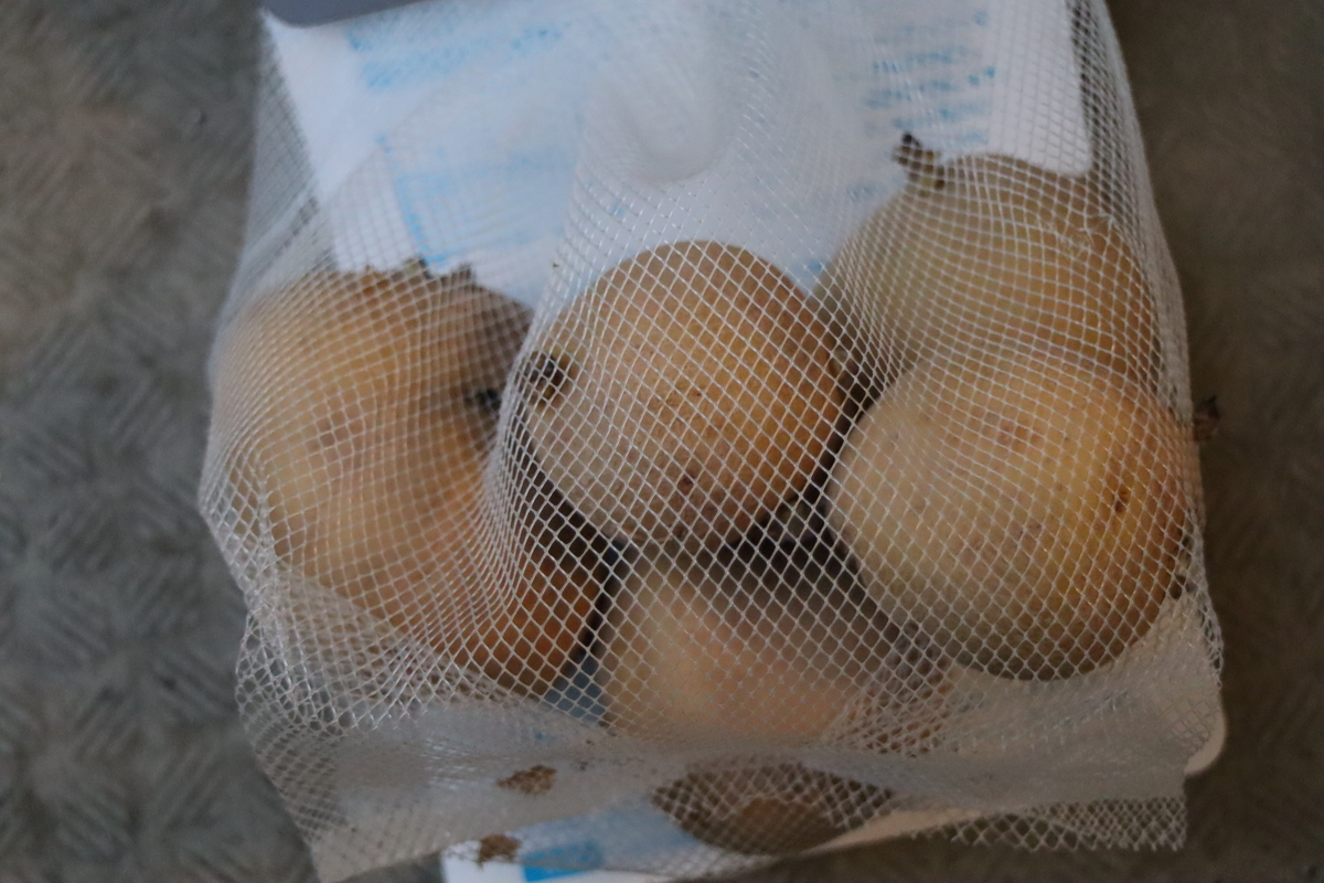 f:id:tomato_1:20200825014527j:plain