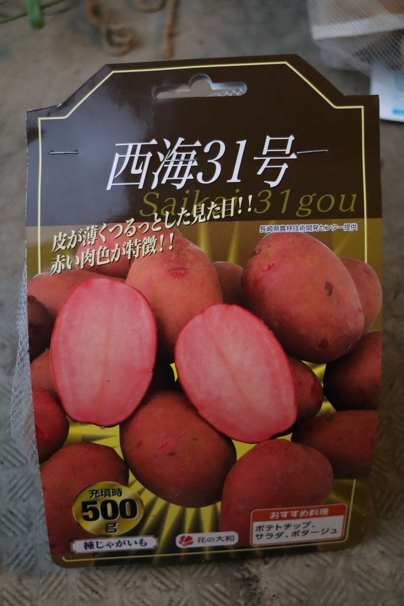 f:id:tomato_1:20200825015017j:plain