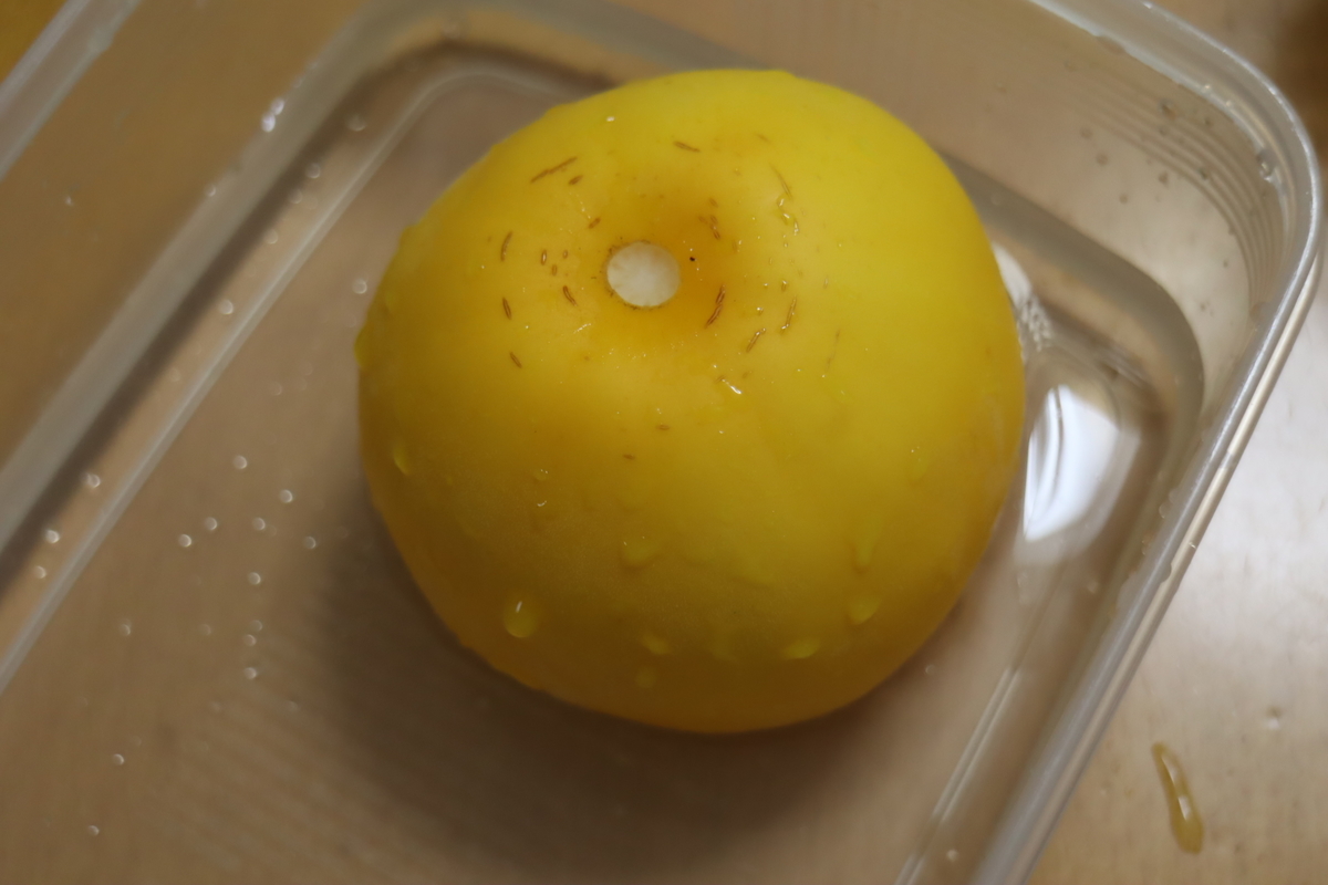 f:id:tomato_1:20200907033556j:plain f:id:tomato_1:20200907033556j:plain