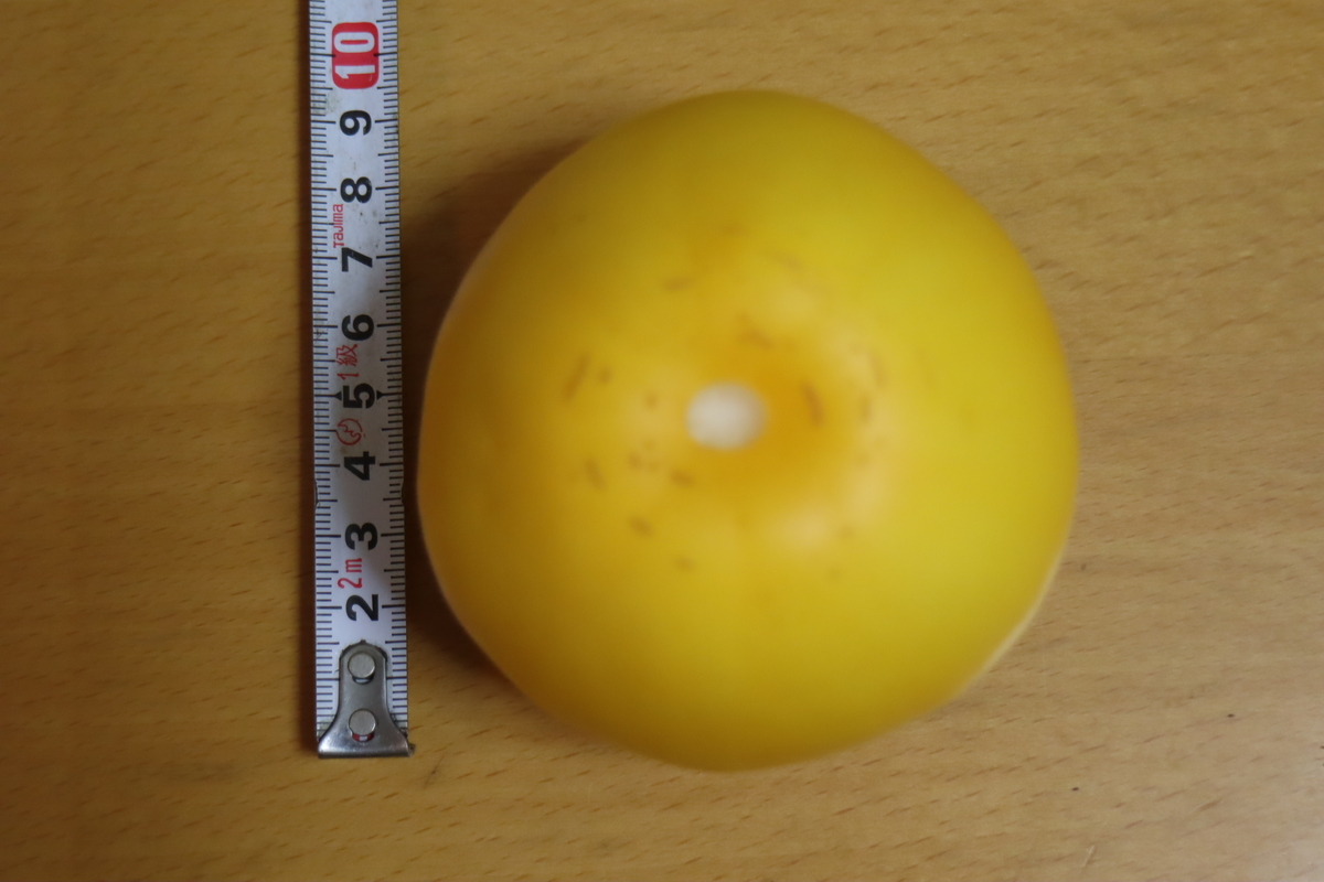 f:id:tomato_1:20200907033800j:plain f:id:tomato_1:20200907033800j:plain