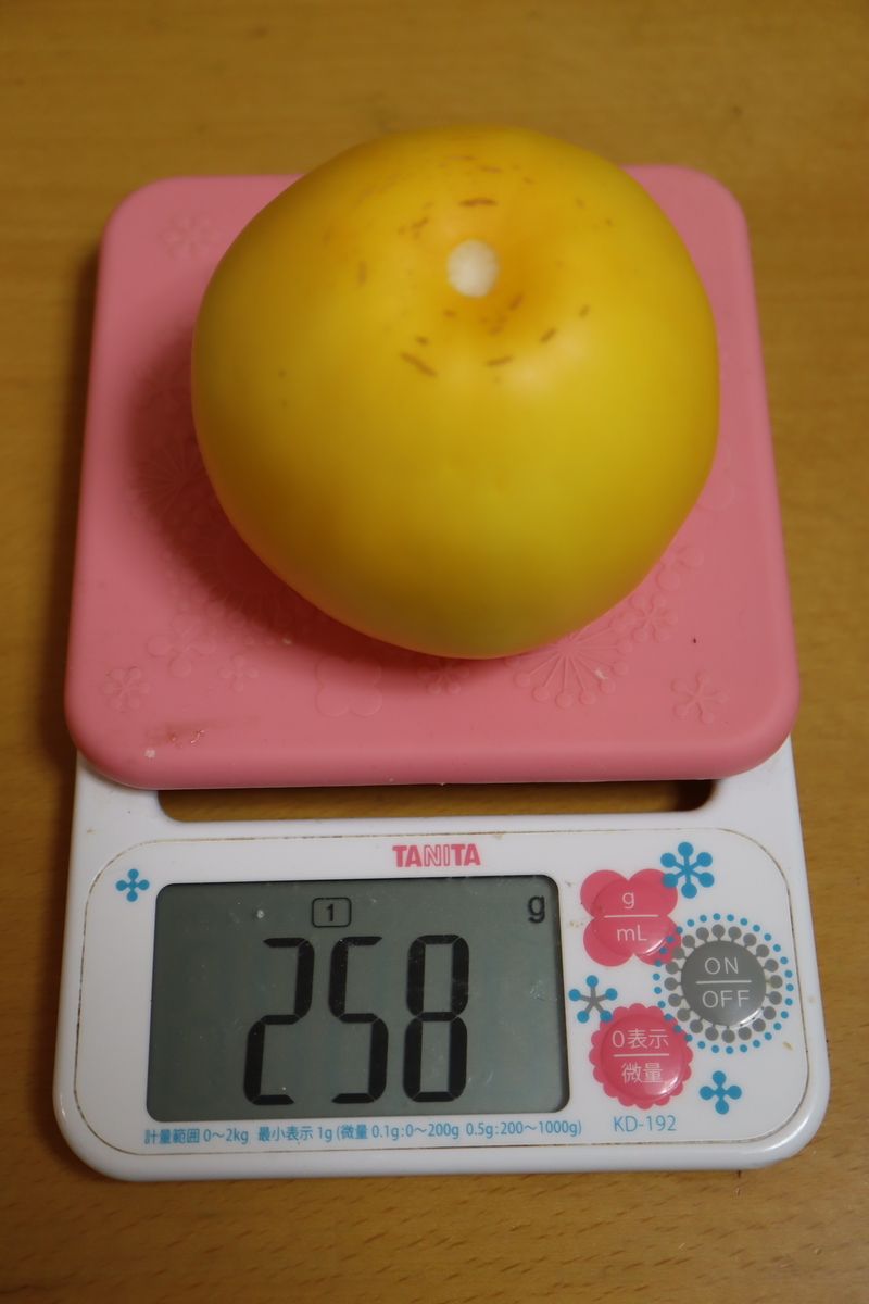 f:id:tomato_1:20200907034802j:plain f:id:tomato_1:20200907034802j:plain