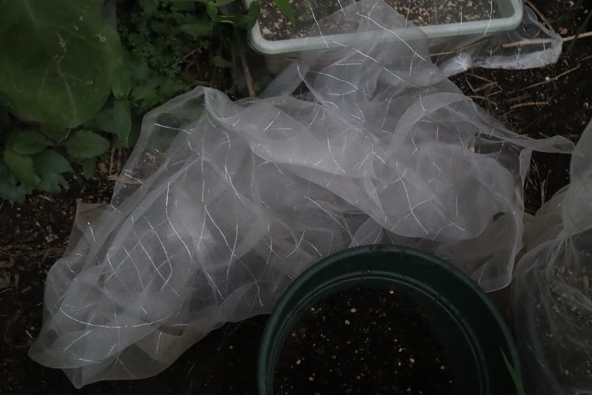 f:id:tomato_1:20200909140032j:plain