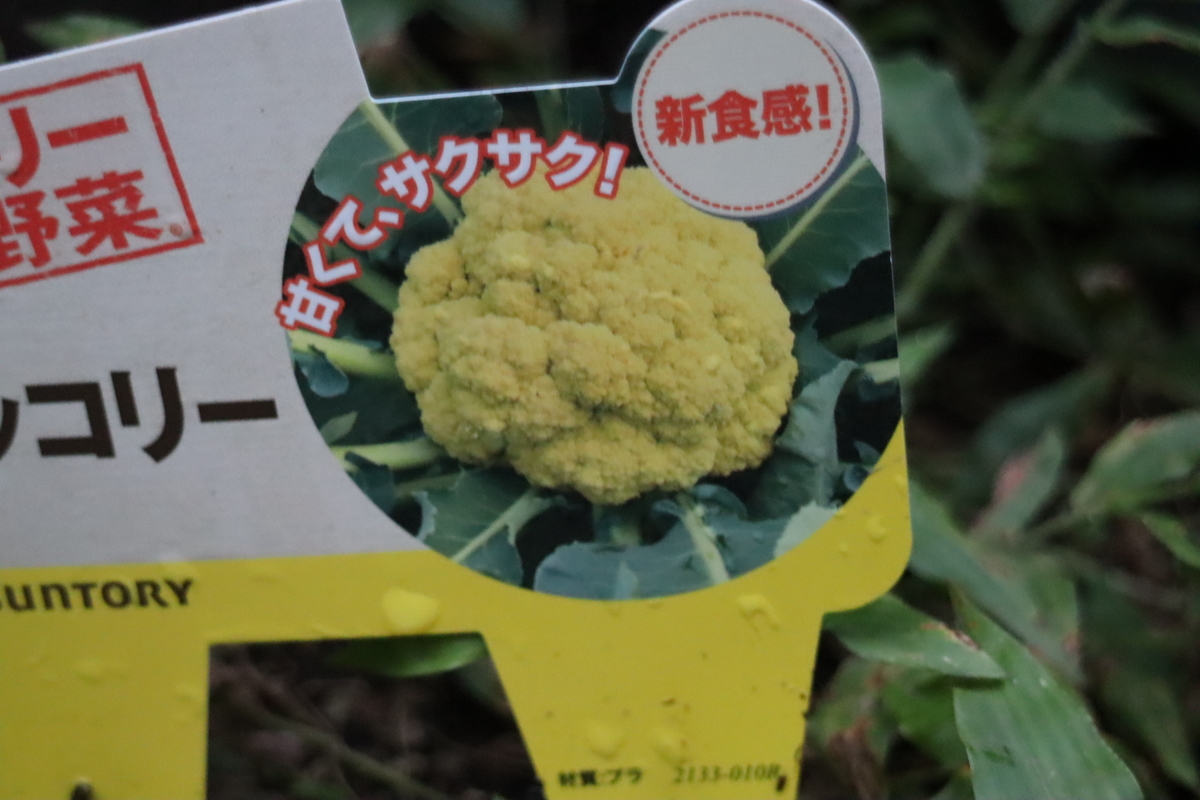 f:id:tomato_1:20200924150656j:plain