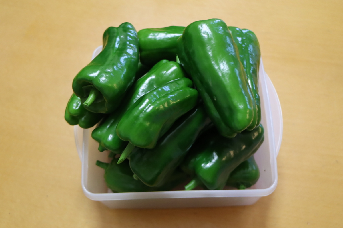 f:id:tomato_1:20201016003627j:plain f:id:tomato_1:20201016003627j:plain