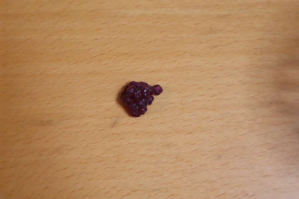 f:id:tomato_1:20201102032352j:plain