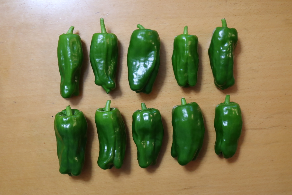 f:id:tomato_1:20201115221729j:plain f:id:tomato_1:20201115221729j:plain