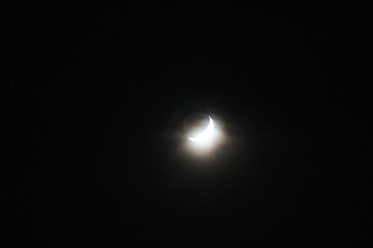f:id:tomato_1:20201119224641j:plain