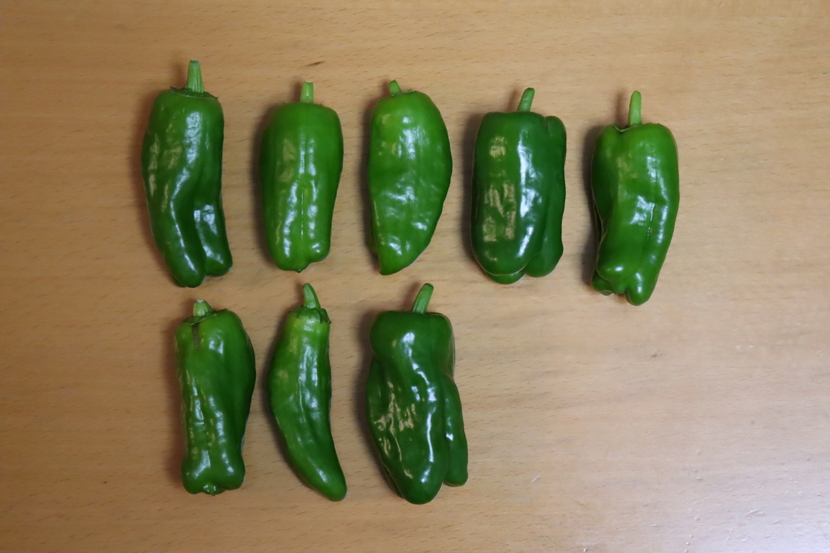 f:id:tomato_1:20201126023445j:plain