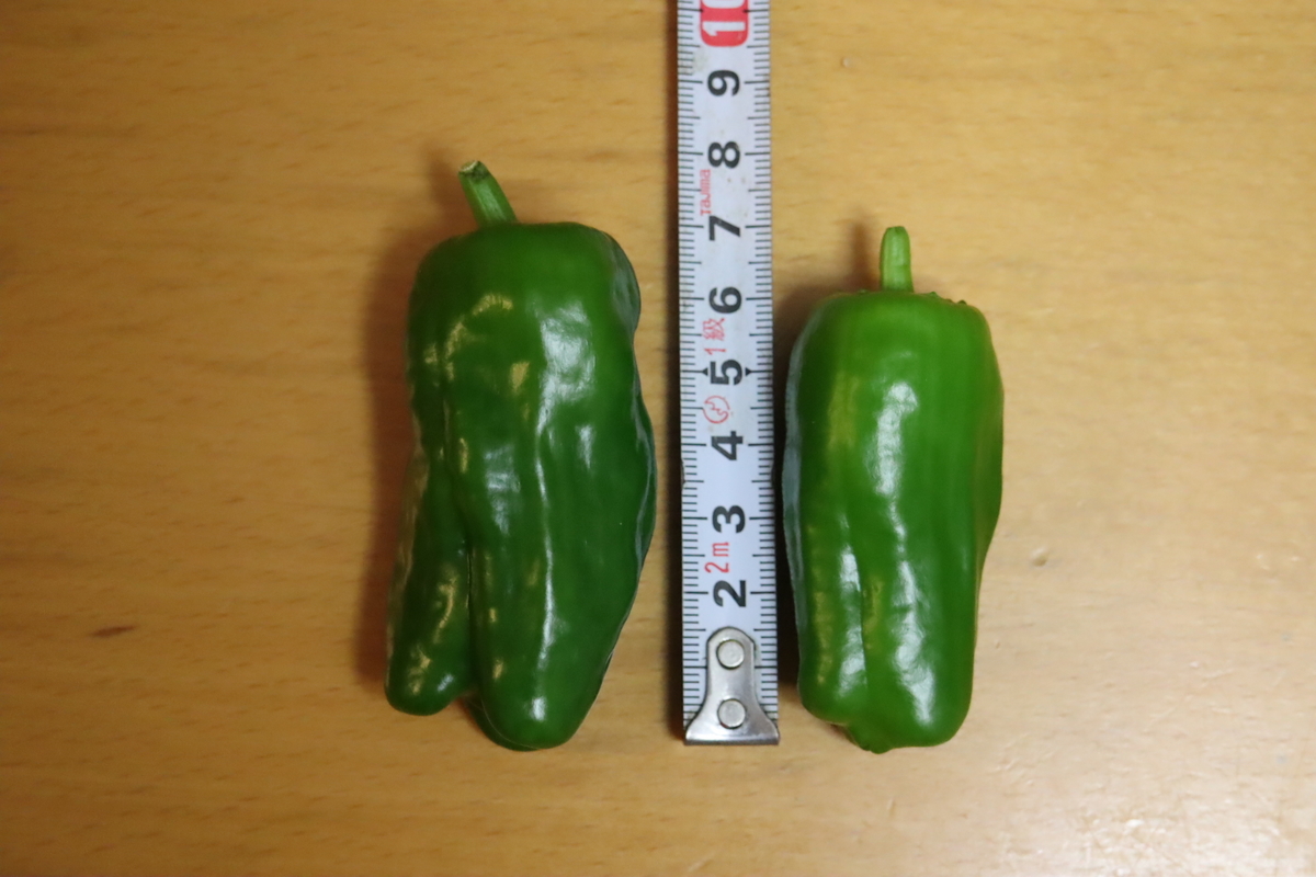f:id:tomato_1:20201126023500j:plain