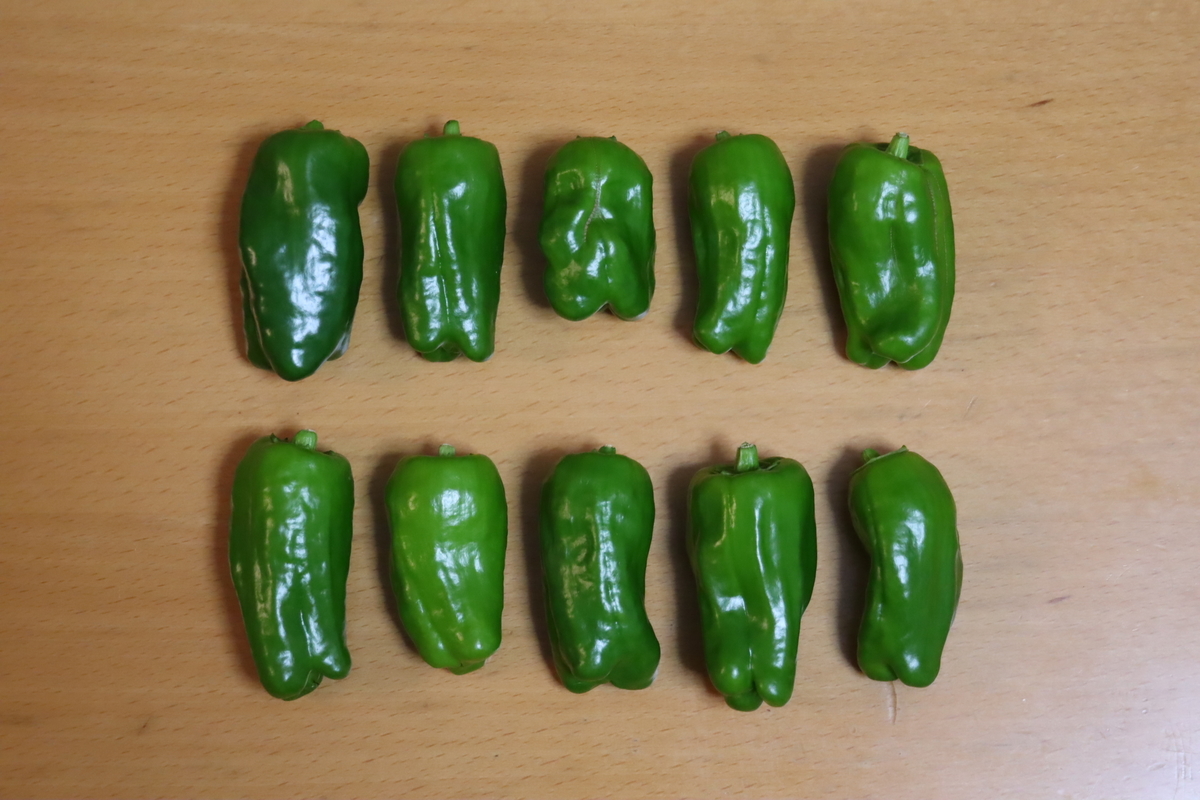 f:id:tomato_1:20201208231159j:plain