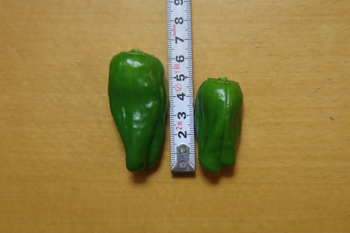 f:id:tomato_1:20201223041446j:plain