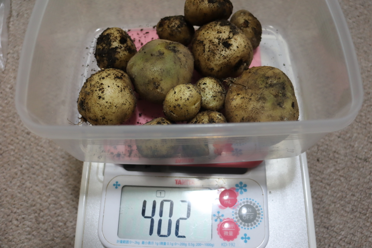 f:id:tomato_1:20201228044718j:plain