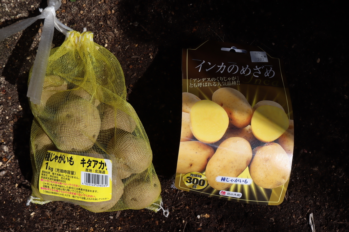 f:id:tomato_1:20201228050727j:plain