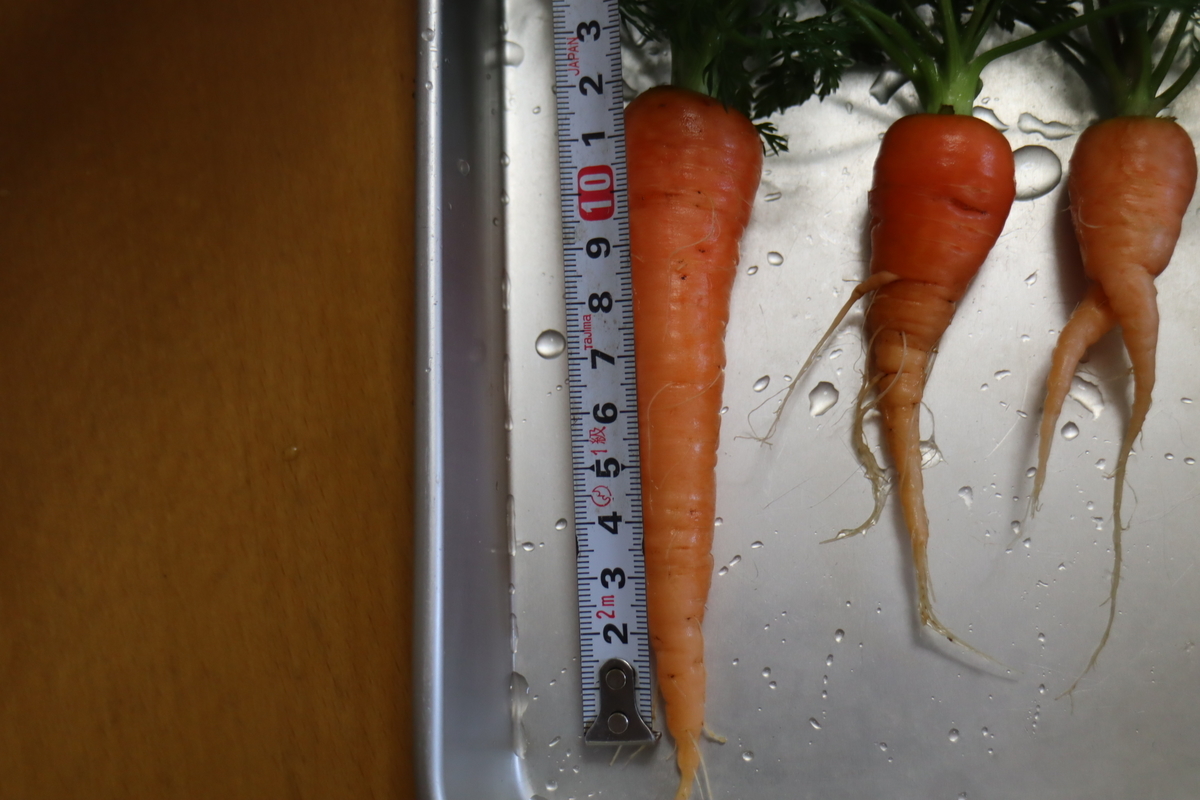 f:id:tomato_1:20201229054905j:plain