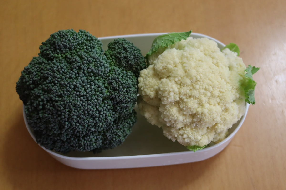 f:id:tomato_1:20201229055450j:plain