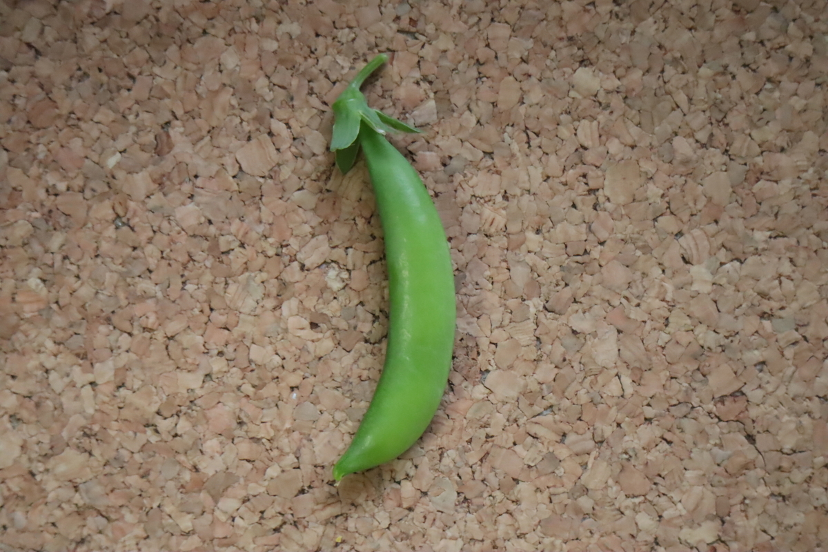 f:id:tomato_1:20201230053230j:plain