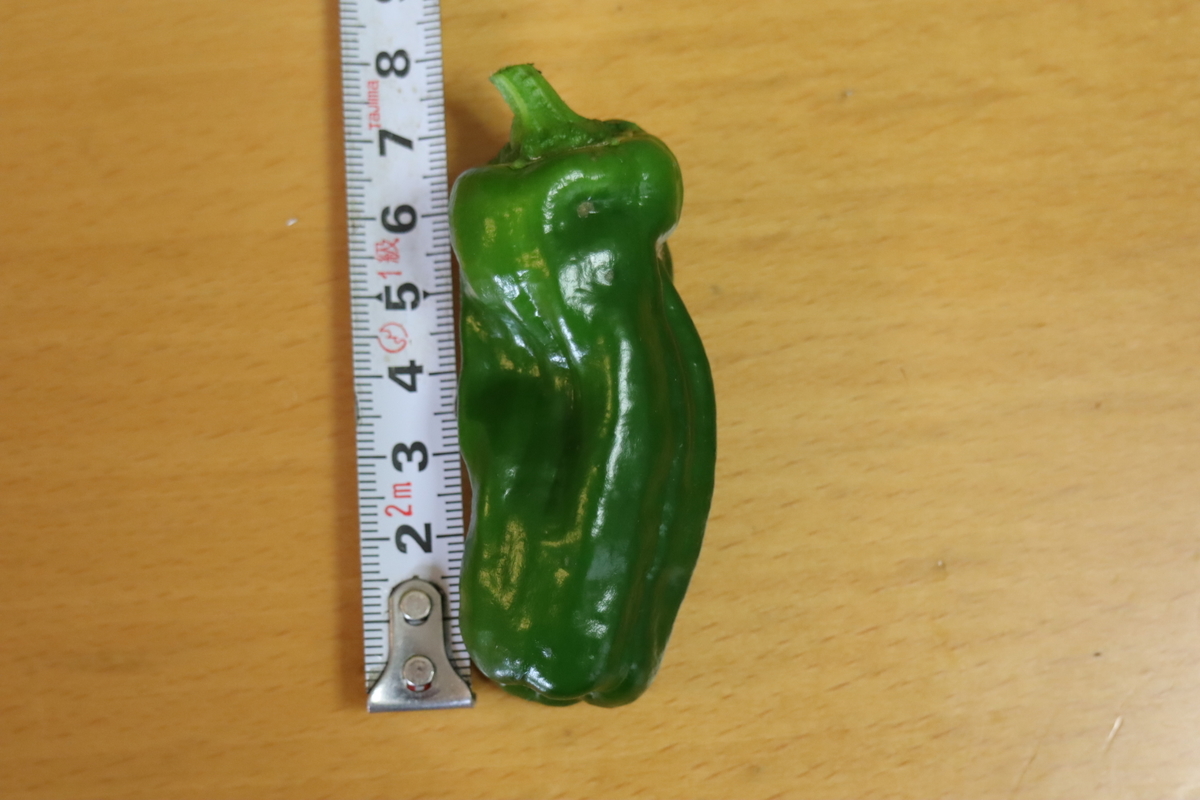 f:id:tomato_1:20201230055012j:plain