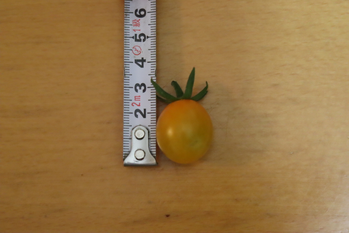 f:id:tomato_1:20201230153630j:plain
