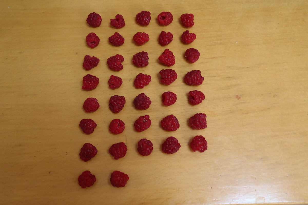 f:id:tomato_1:20201230154545j:plain