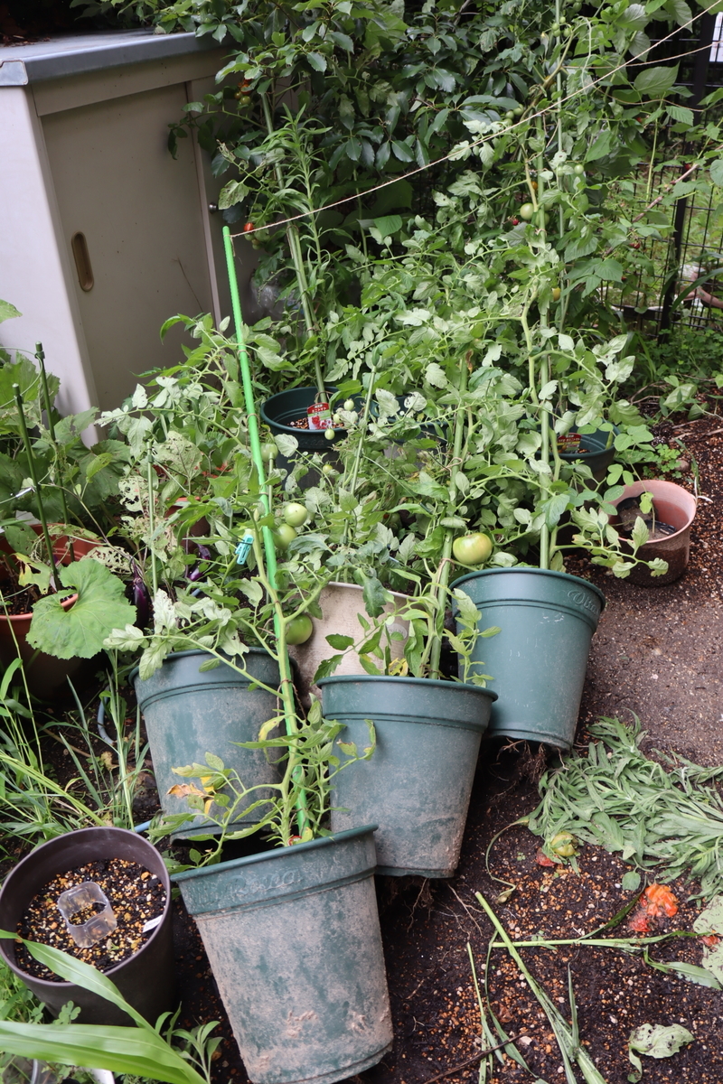 f:id:tomato_1:20201230160955j:plain