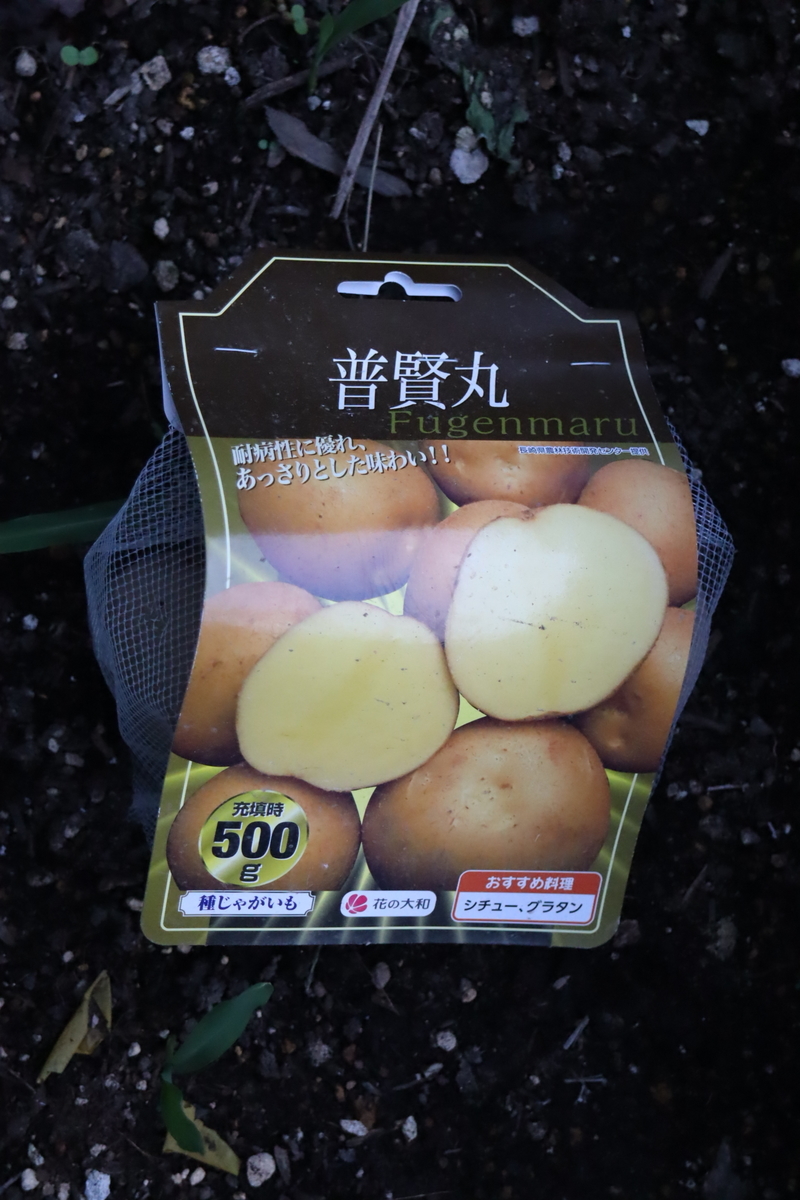f:id:tomato_1:20201230165800j:plain