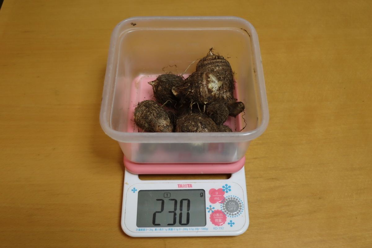 f:id:tomato_1:20201230184650j:plain