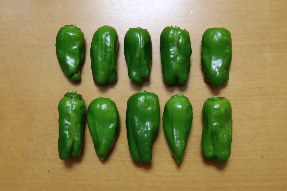 f:id:tomato_1:20201230185200j:plain