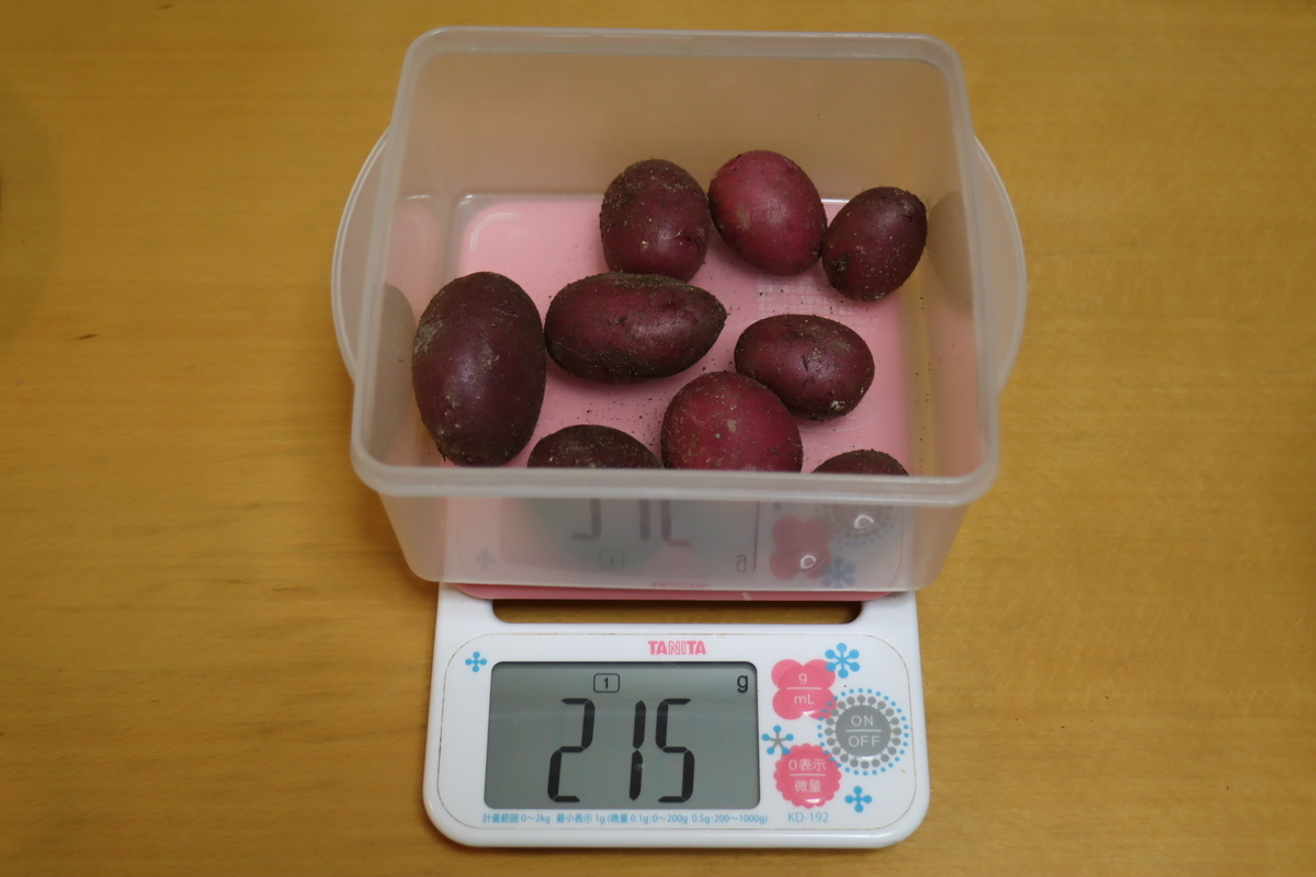 f:id:tomato_1:20201230190245j:plain