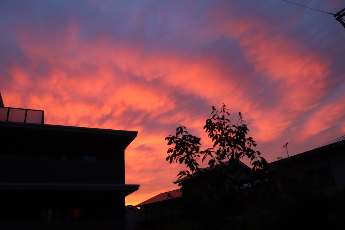 f:id:tomato_1:20201230212200j:plain