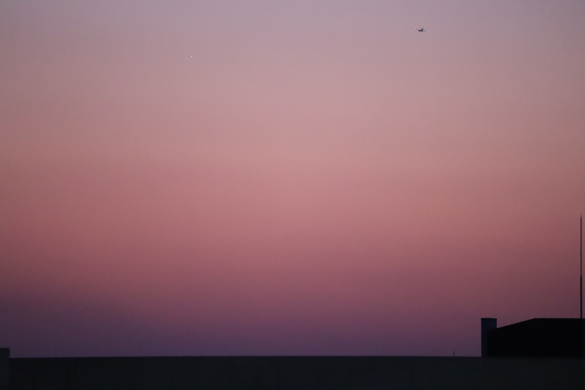 f:id:tomato_1:20210114040034j:plain