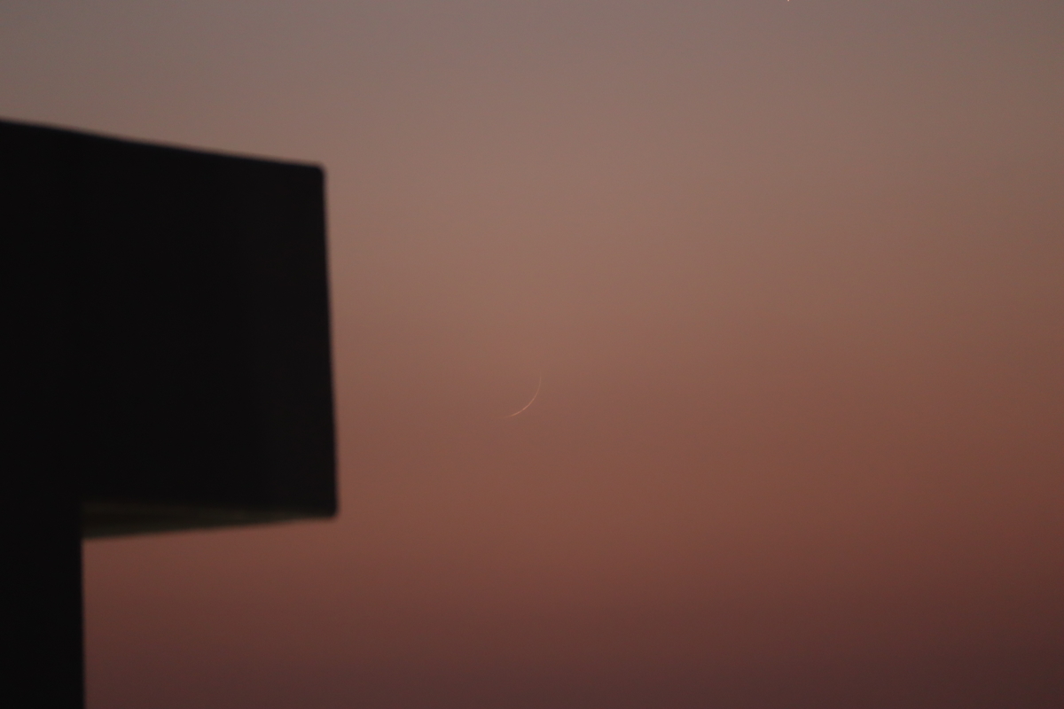 f:id:tomato_1:20210115033539j:plain