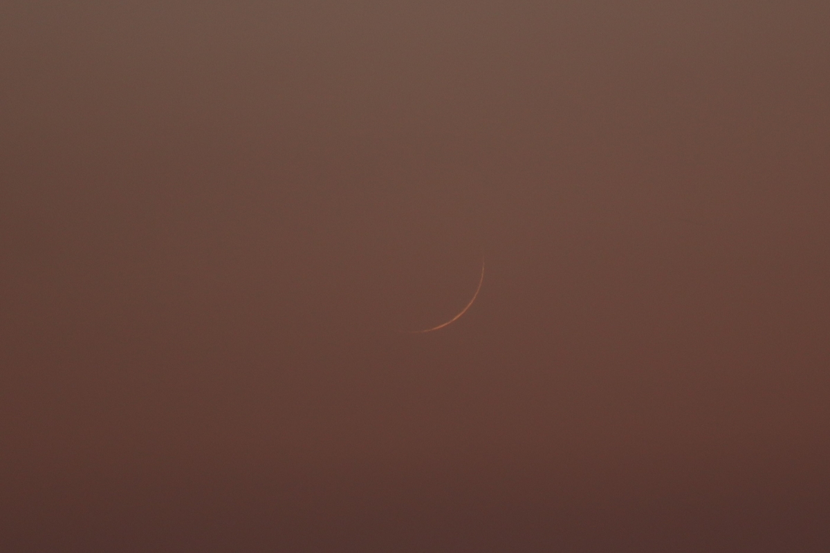 f:id:tomato_1:20210115034606j:plain